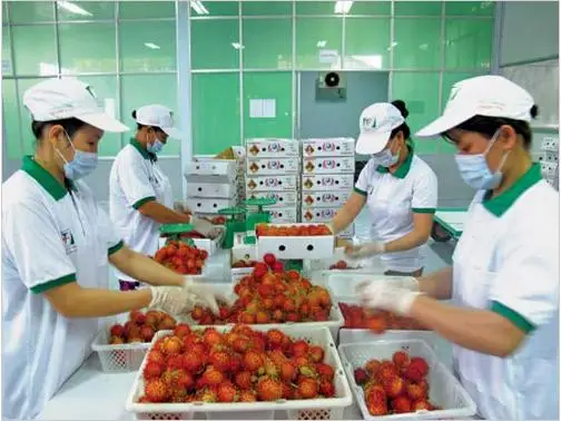 US favours Vietnamese produce