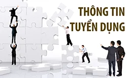 Cong-Ty-CP-Dau-Tu-va-Phat-Trien-Dich-Vu-Tong-Hop-Van-Hien-tuyen-dung-Ke-toan-truong-2016-08-10-15-26-56