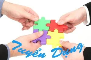 Techcombank-tuyen-kiem-toan-vien-cao-cap-2014-05-10-07-55-04